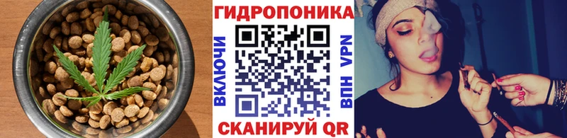 Еда ТГК марихуана  Балей 