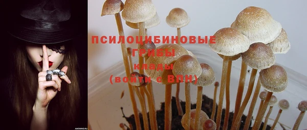 дмт Балабаново