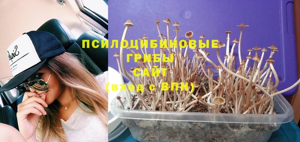 дмт Балабаново