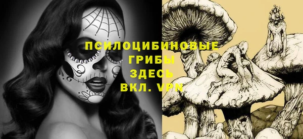 дмт Балабаново