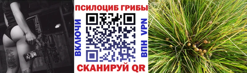 Галлюциногенные грибы GOLDEN TEACHER Балей